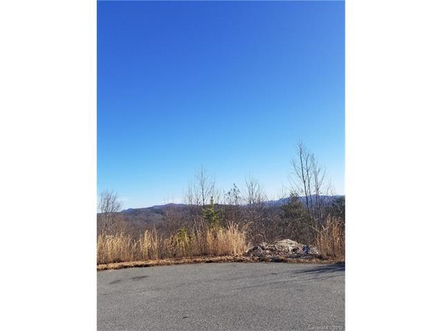 lot #50 Forest Creek Drive - Photo 1
