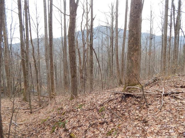 Lot 45 Fern Trail - Photo 1