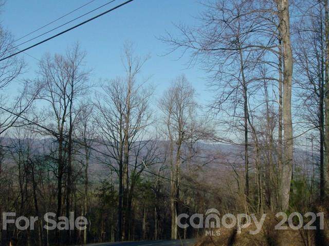 0 Fire Tower Road - Photo 1