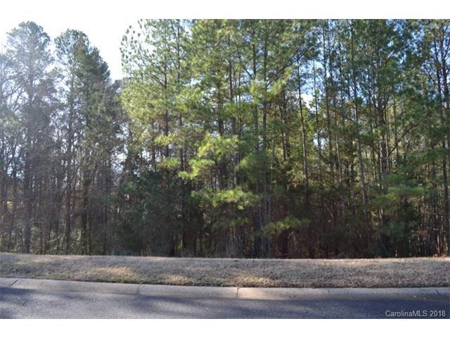 1419 Jack White Drive - Photo 1