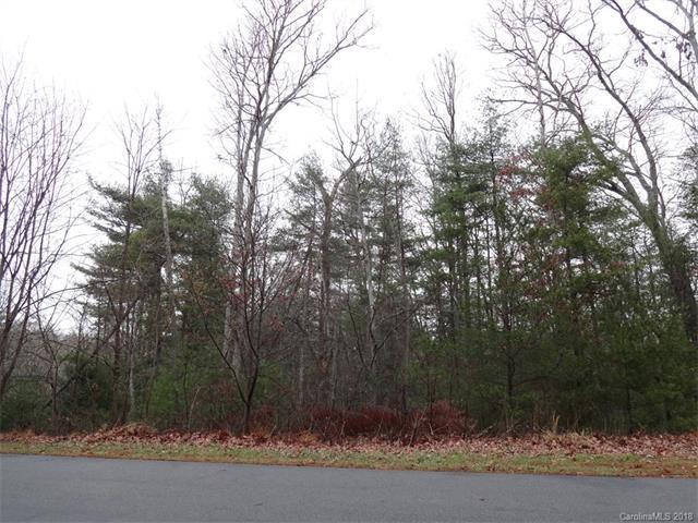 LOT 24 Cedar Hill Drive - Photo 1