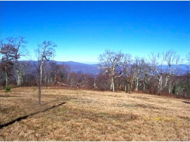#38 Ogle Meadows Road - Photo 1