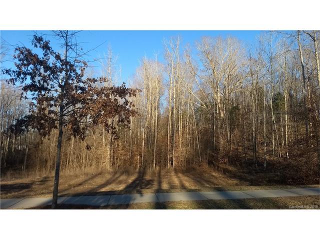 16610 Reinsch Drive - Photo 1