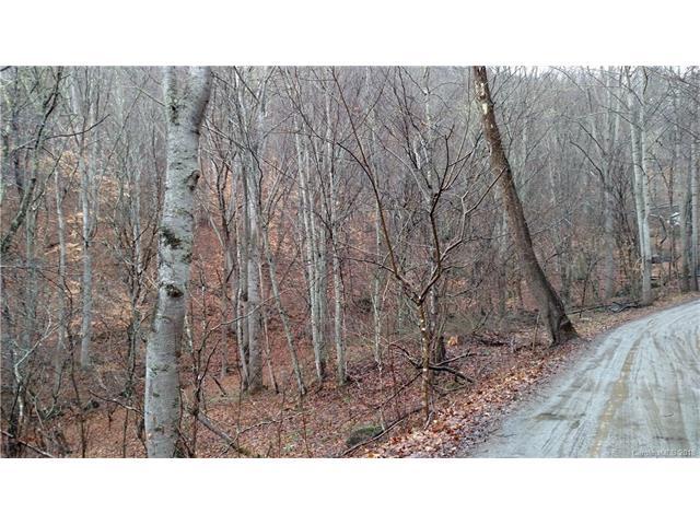 00 Woody Cove - Photo 1