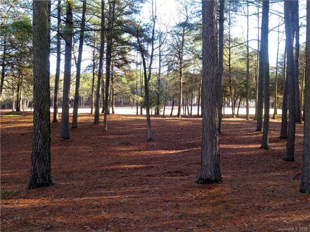 149 Yadkin Falls Road - Photo 1