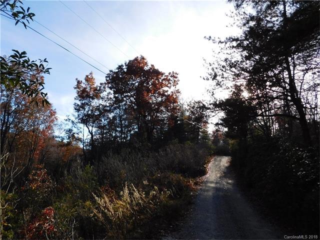 TBD Morgan Mountain Road - Photo 1