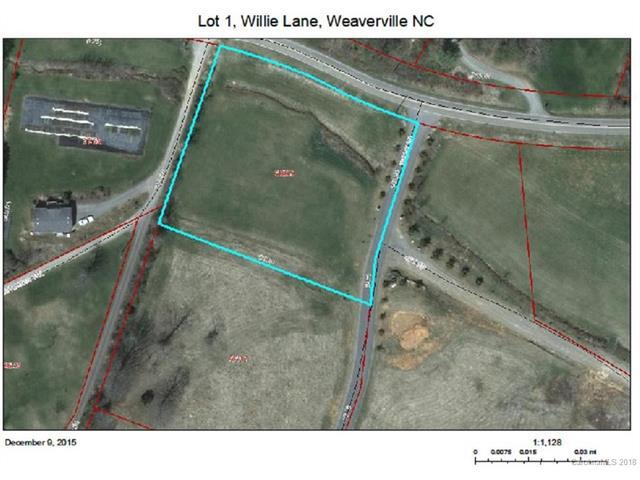 Lot 1 and 2 Willie Lane - Photo 1