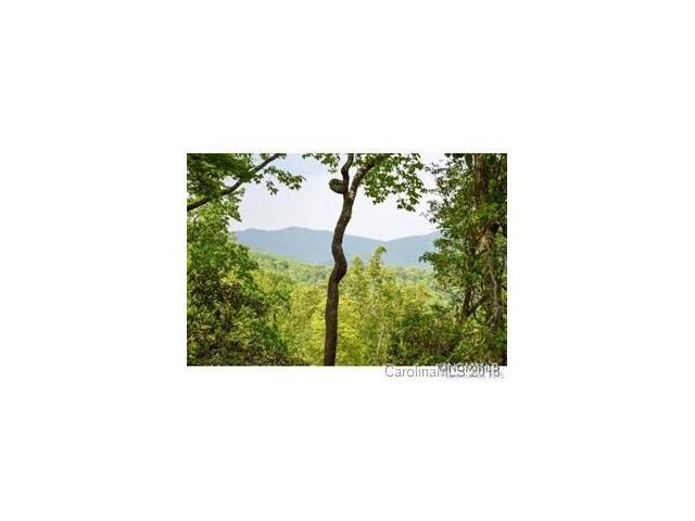 936 Mills River Way - Photo 1