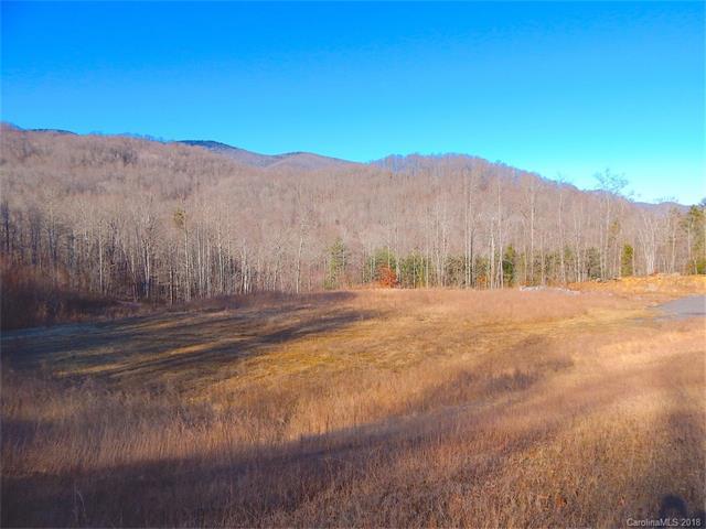 0 Balsam Lookout Lane - Photo 1