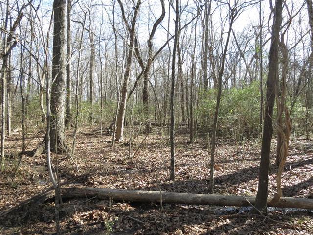 1.29 AC Givens Road - Photo 1