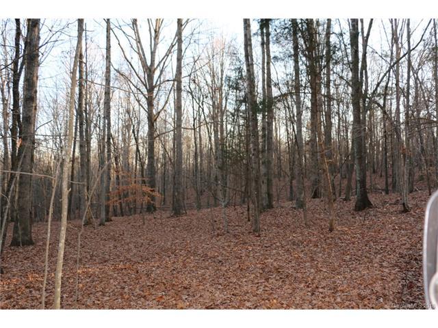 00 William Fowler Road - Photo 1