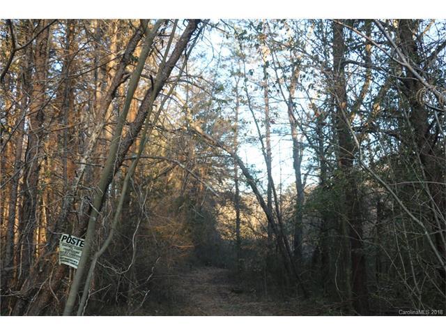 00 William Fowler Road - Photo 1
