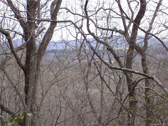 0 Cedar Gap Way - Photo 1