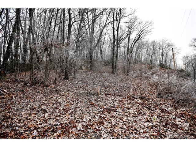 Lot #34, Section D Utah Mountain Road - Photo 1