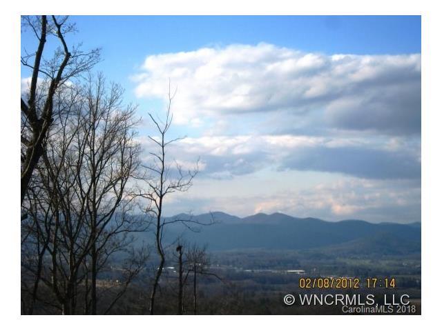 2101 Narrows Run Loop - Photo 1