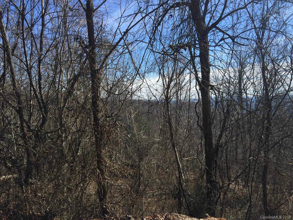 LOT 81 Rowland Drive - Photo 1