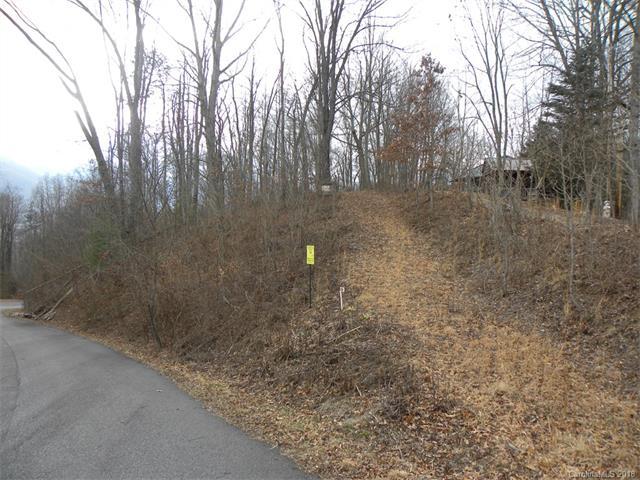 Lot 39 Rons Ridge - Photo 1