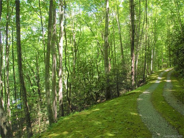 00 Becks Branch Road - Photo 1