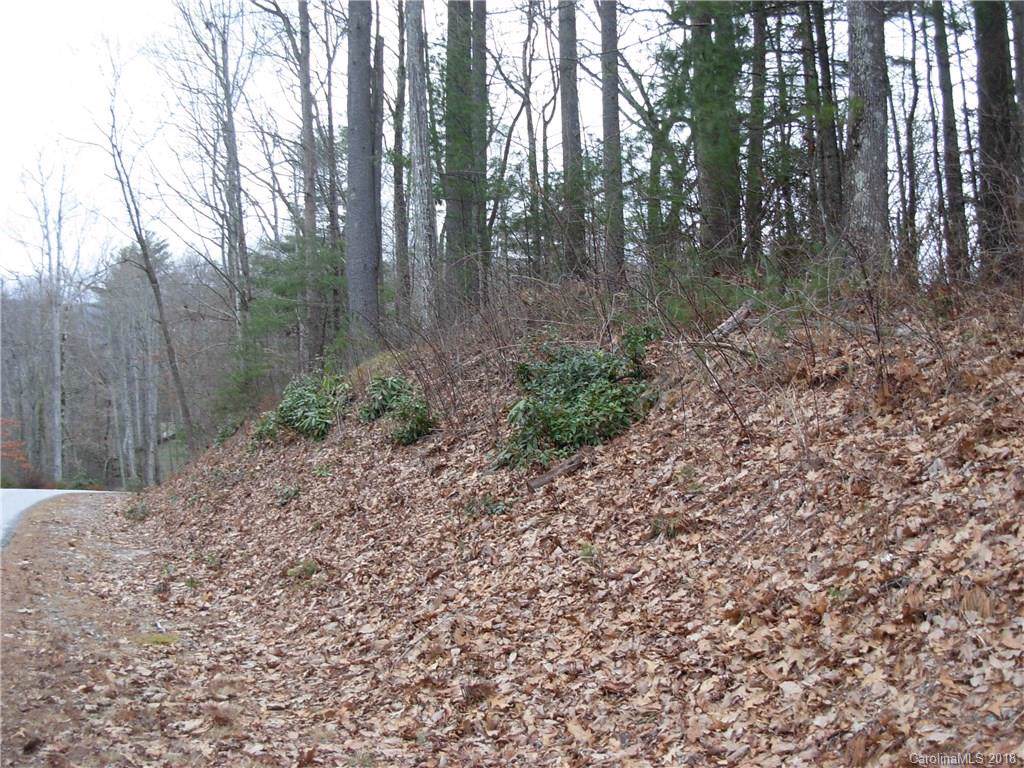TBD Upper Whitewater Road - Photo 1