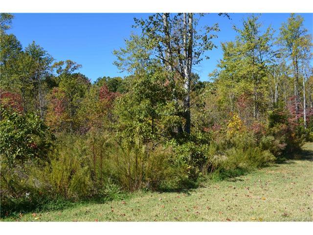 212 Winding Cedar Drive - Photo 1