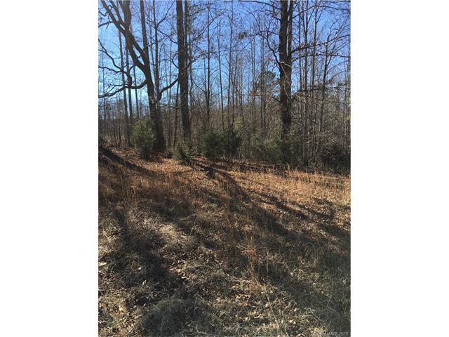 00 Lyles Pond Road - Photo 1