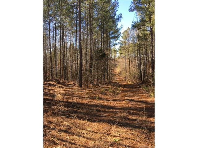 000 Lyles Pond Road - Photo 1