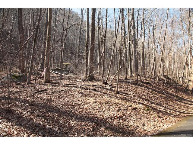 0 Bald Mountain Crescent Road - Photo 1