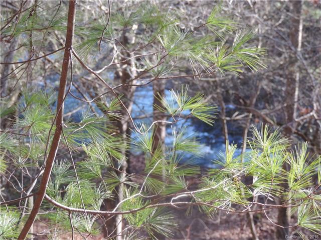 0 Chickadee Avenue - Photo 1