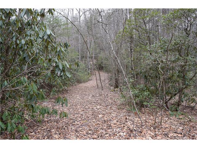 0000 Mountain Laurel Lane - Photo 1
