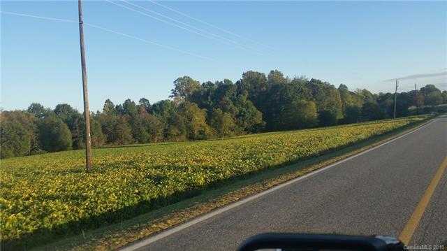 Lot 4 Triplett Road - Photo 1