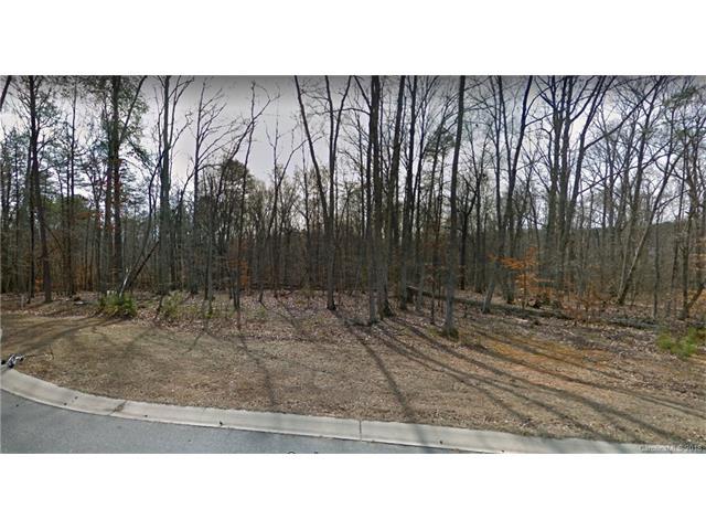 0 Long Creek Lane - Photo 1
