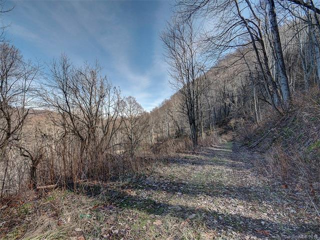 Lots 19 & 20 Windsor Drive - Photo 1
