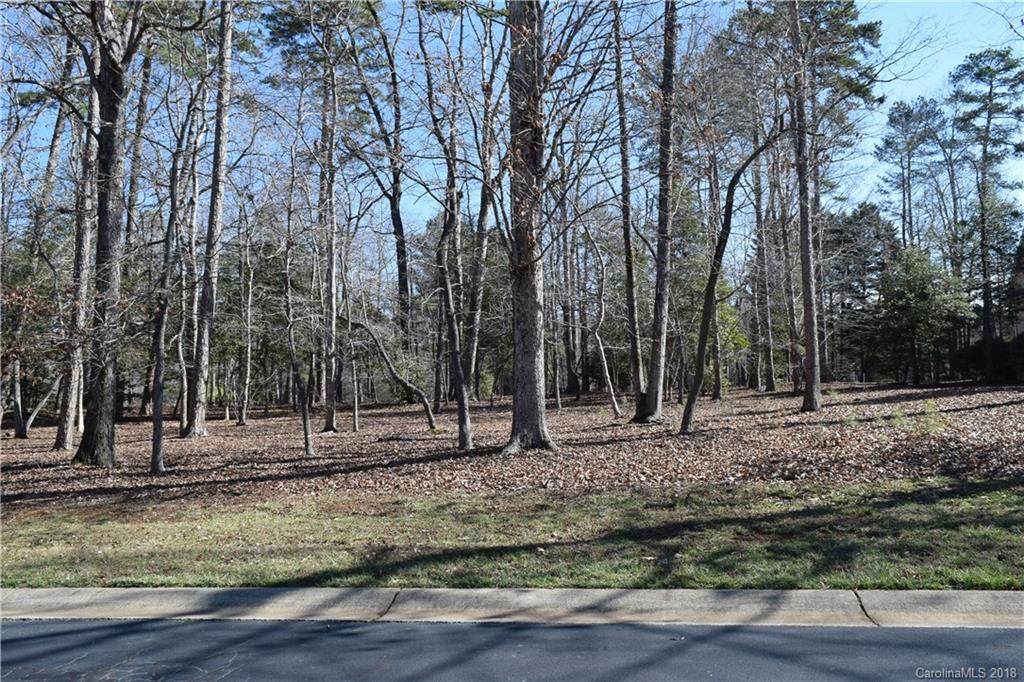 162 Pattersons Bridge Drive - Photo 1