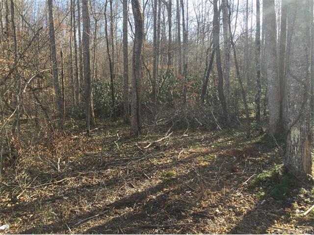 Lot 138 Overland Trail - Photo 1