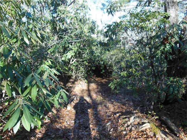 TBD Enon Mountain Road - Photo 1