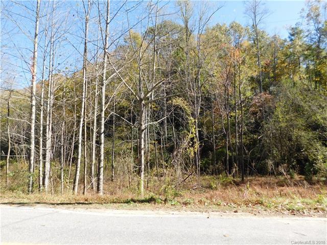 TBD Pleasant Grove Church Road - Photo 1