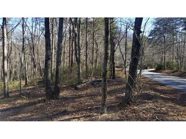 000 White Oak Mountain Road - Photo 1