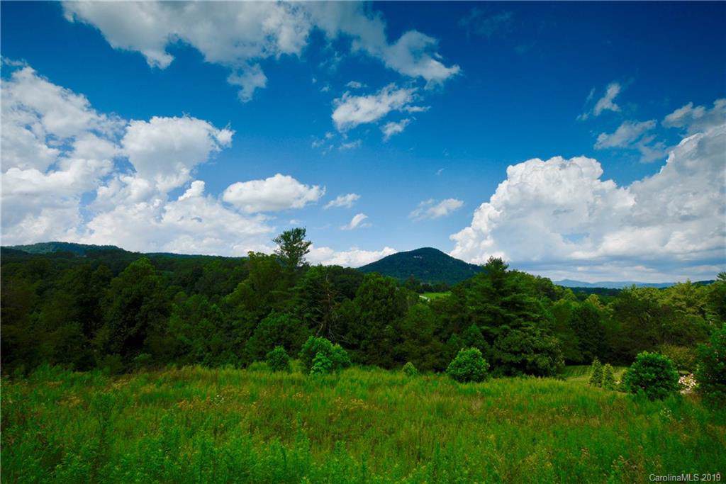 29 Bear Flower Trail - Photo 1