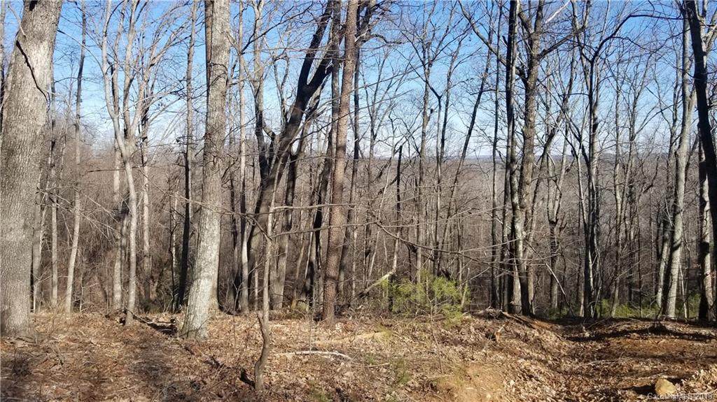 000 White Oak Mountain Road - Photo 1