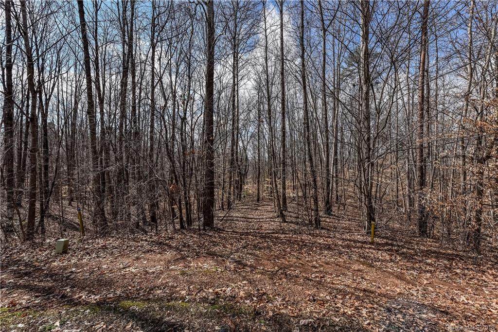 167 Harbor Watch Drive - Photo 1