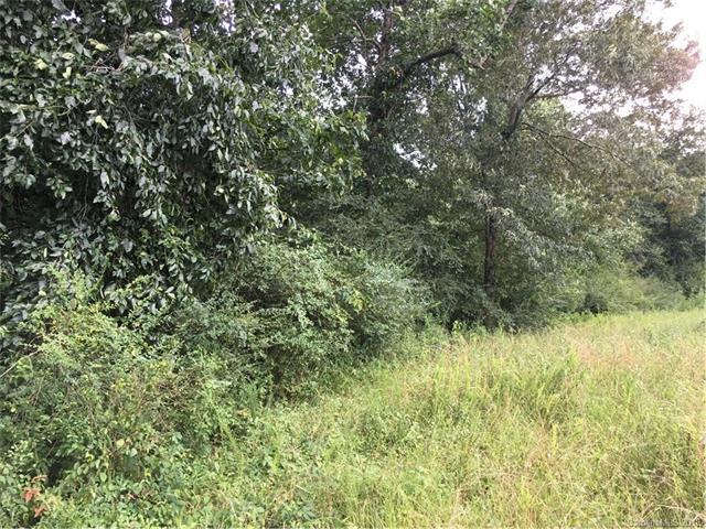 0 Old Us 74 Highway - Photo 1