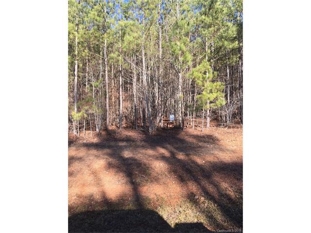 00 Sanctuary Lane - Photo 1