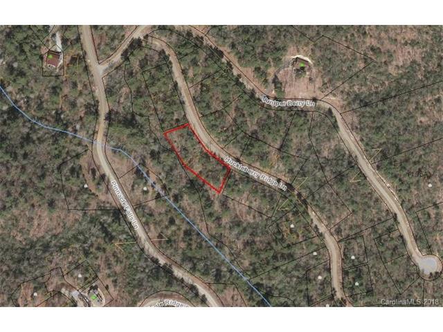 0 Huckleberry Ridge Lane - Photo 1