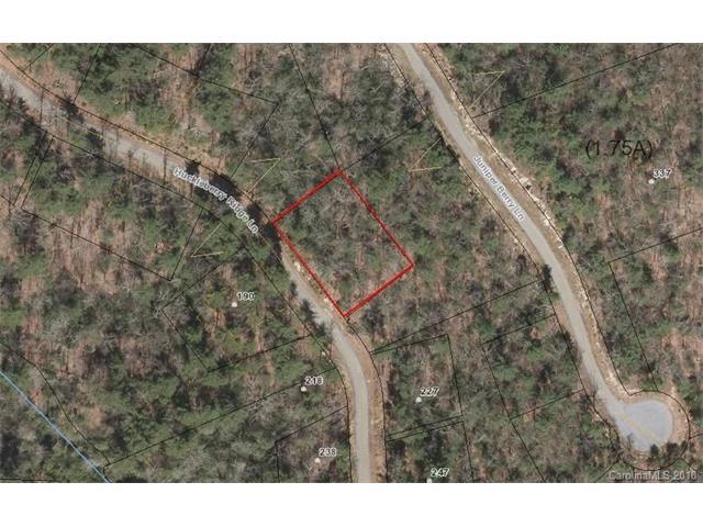 218 Huckleberry Ridge Lane - Photo 1