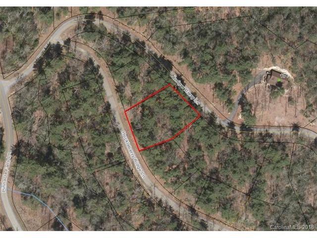 0 Huckleberry Ridge Lane - Photo 1