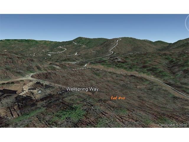 Lot #10 Wellspring Way - Photo 1