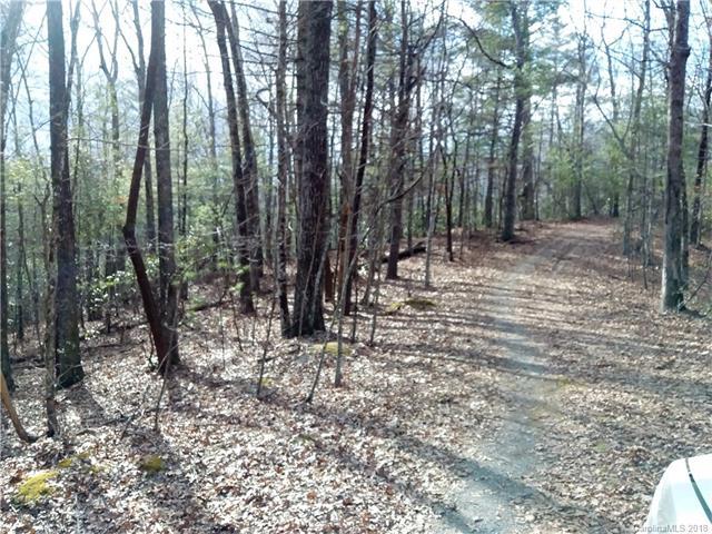Lot #11 Wellspring Way - Photo 1