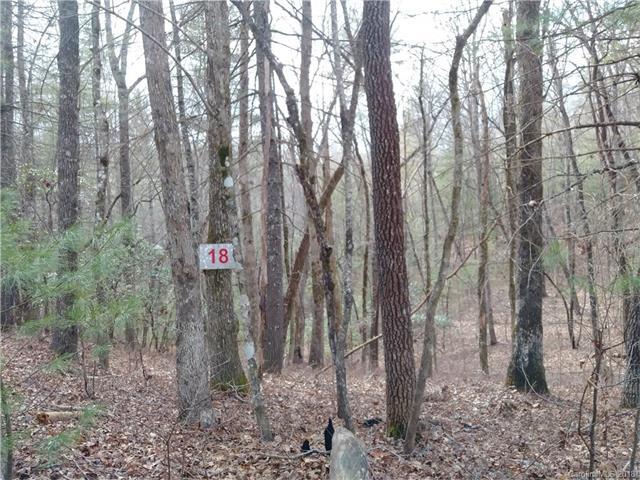 Lot #18 Wellspring Way - Photo 1