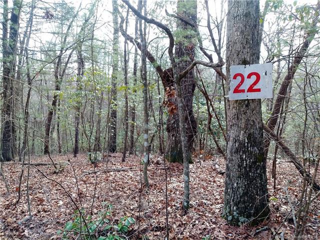 Lot #22 Wellspring Way - Photo 1