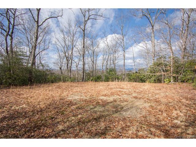 TBD Middlefork Road - Photo 1